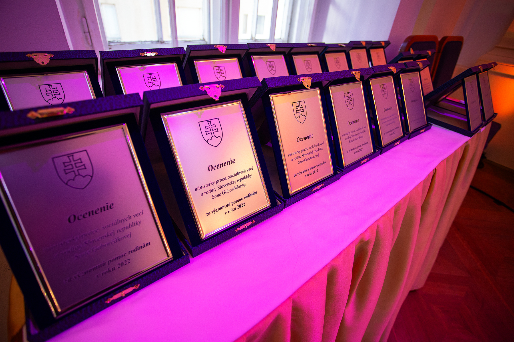 ocenenie ministerky psvr | WebJET CMS